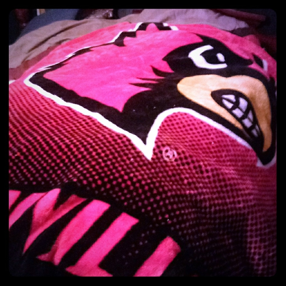 U of L throw